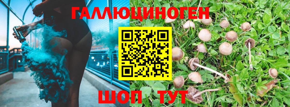 Псилоцибиновые грибы прущие грибы  наркошоп  Сухой Лог  Вход с VPN 